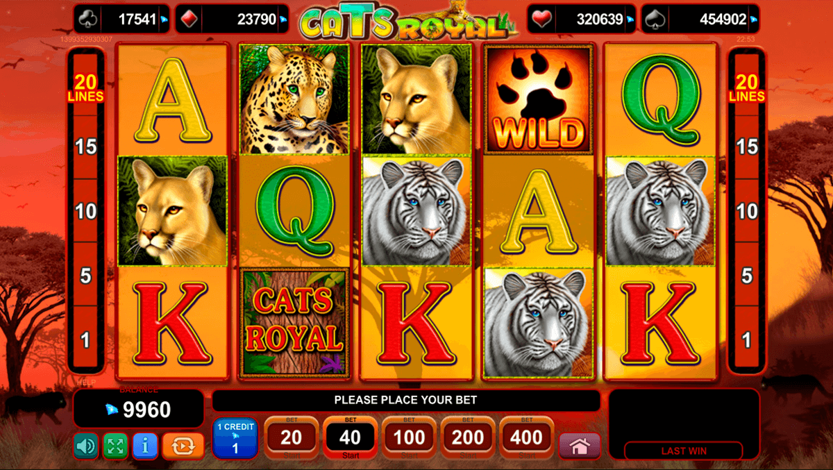 cats royal egtm