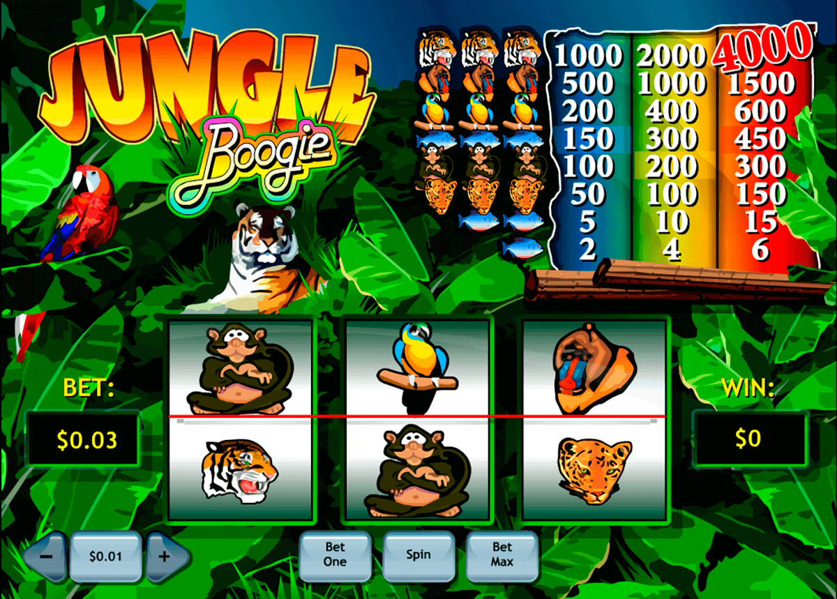 jungle boogie playtech spielautomaten
