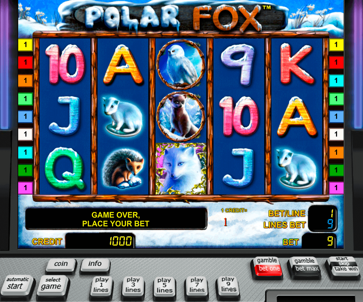 polar fo novomatic spielautomaten