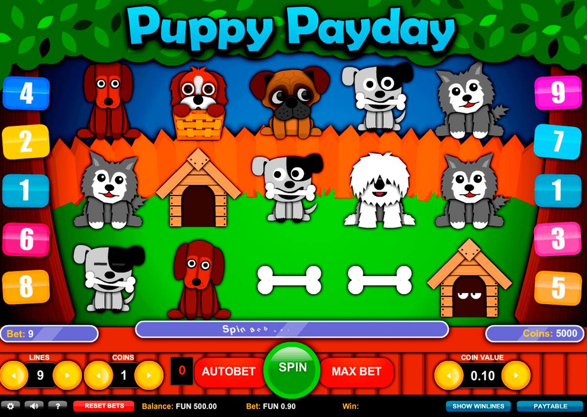 puppy payday gaming spielautomaten