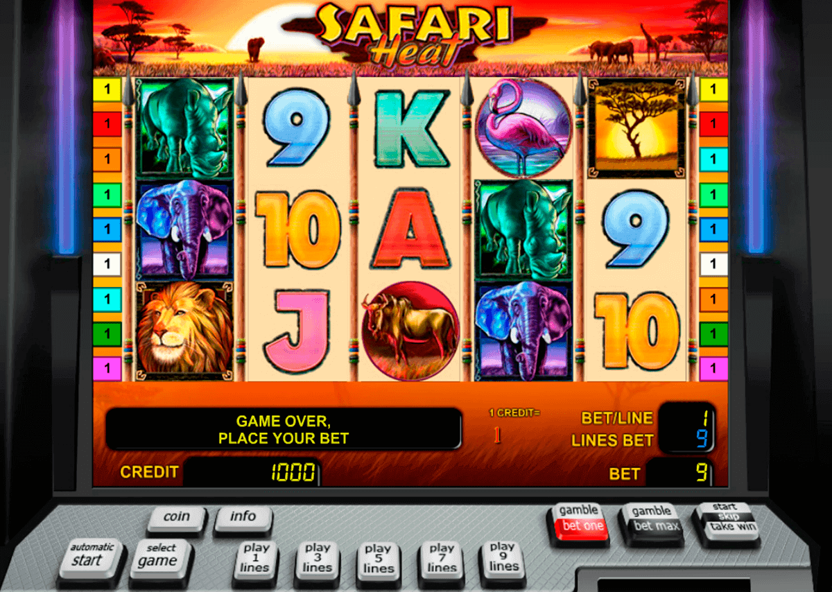 safari heat novomatic spielautomaten