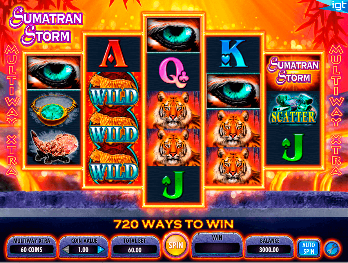 sumatran storm igt spielautomaten