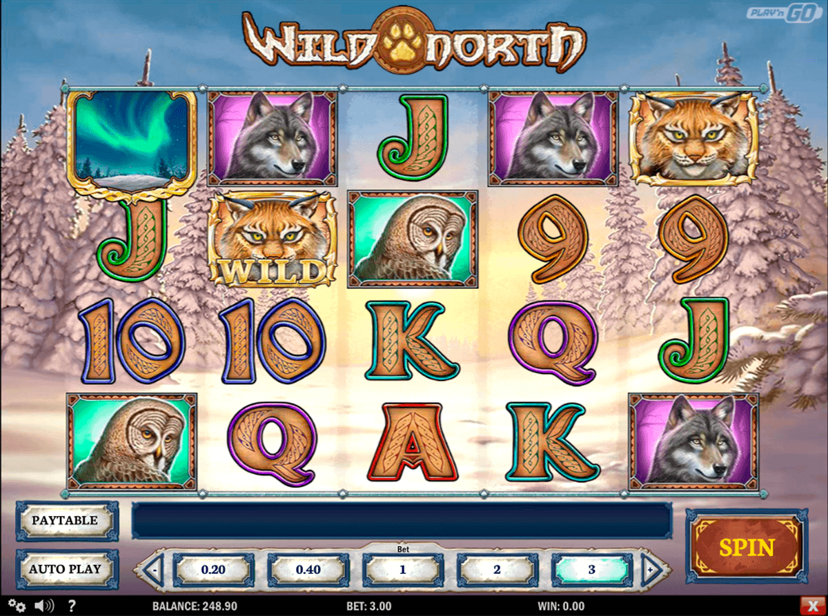 wild north playn go spielautomaten