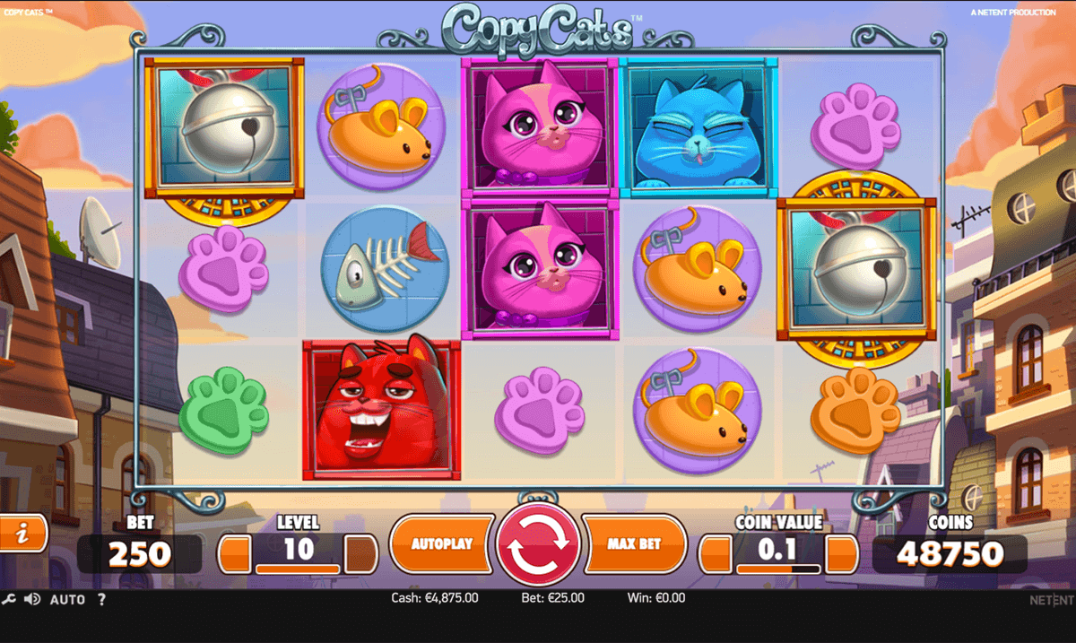 copy cats netentm