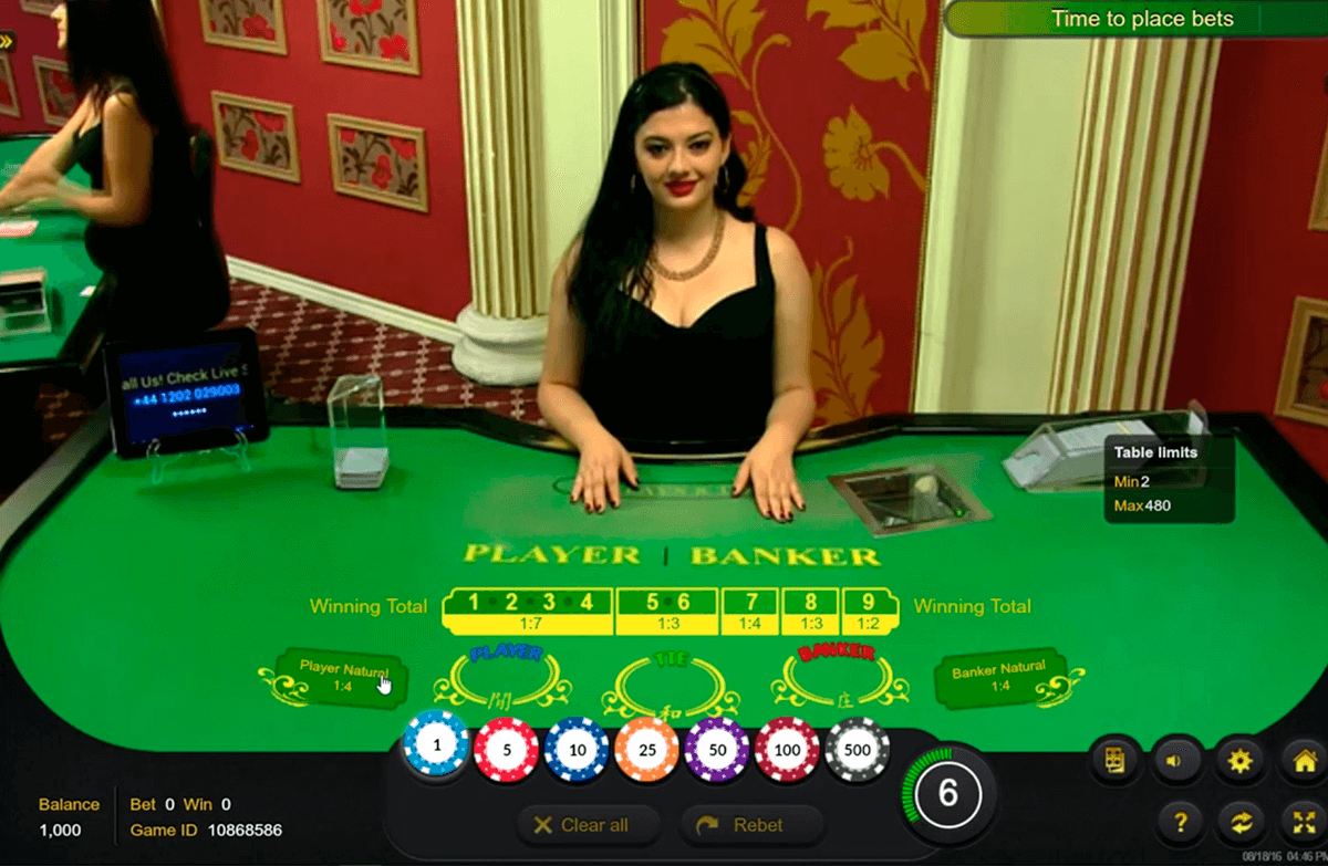 knockout baccarat ezugi